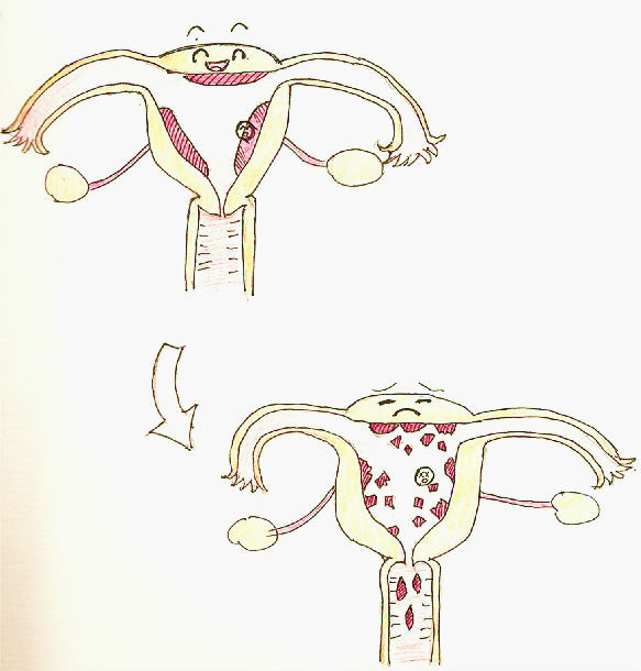 �����ʽ��� ��������?��